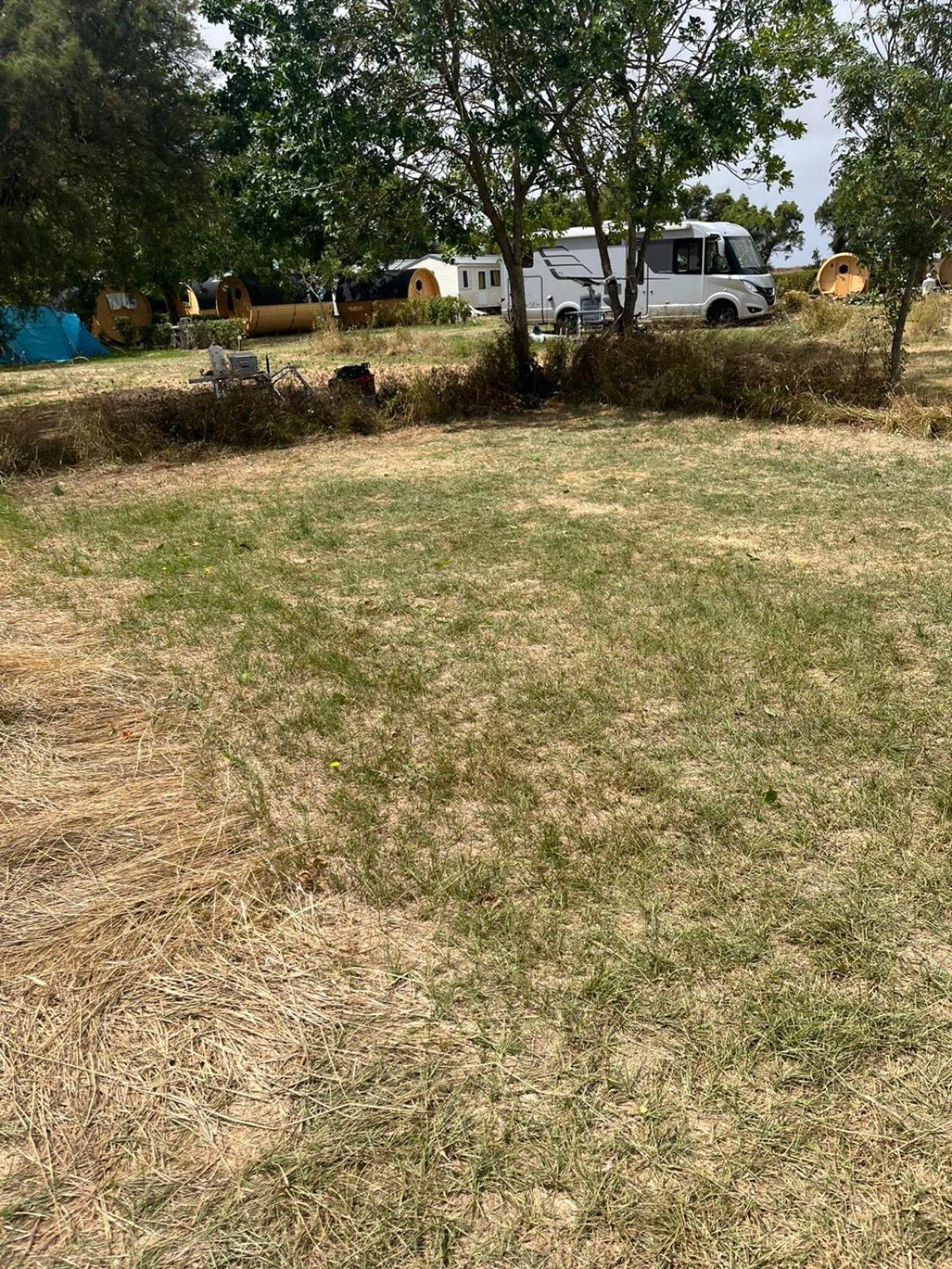 Camping Animal King Esnandes Bagian luar foto